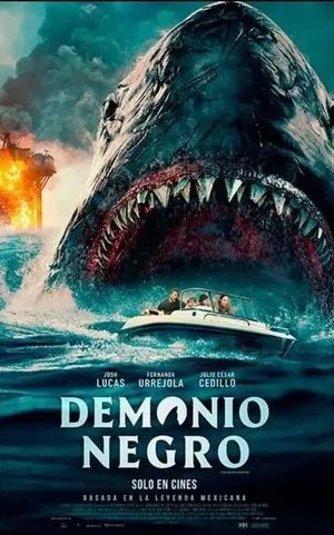 m9 - copia (11).webp